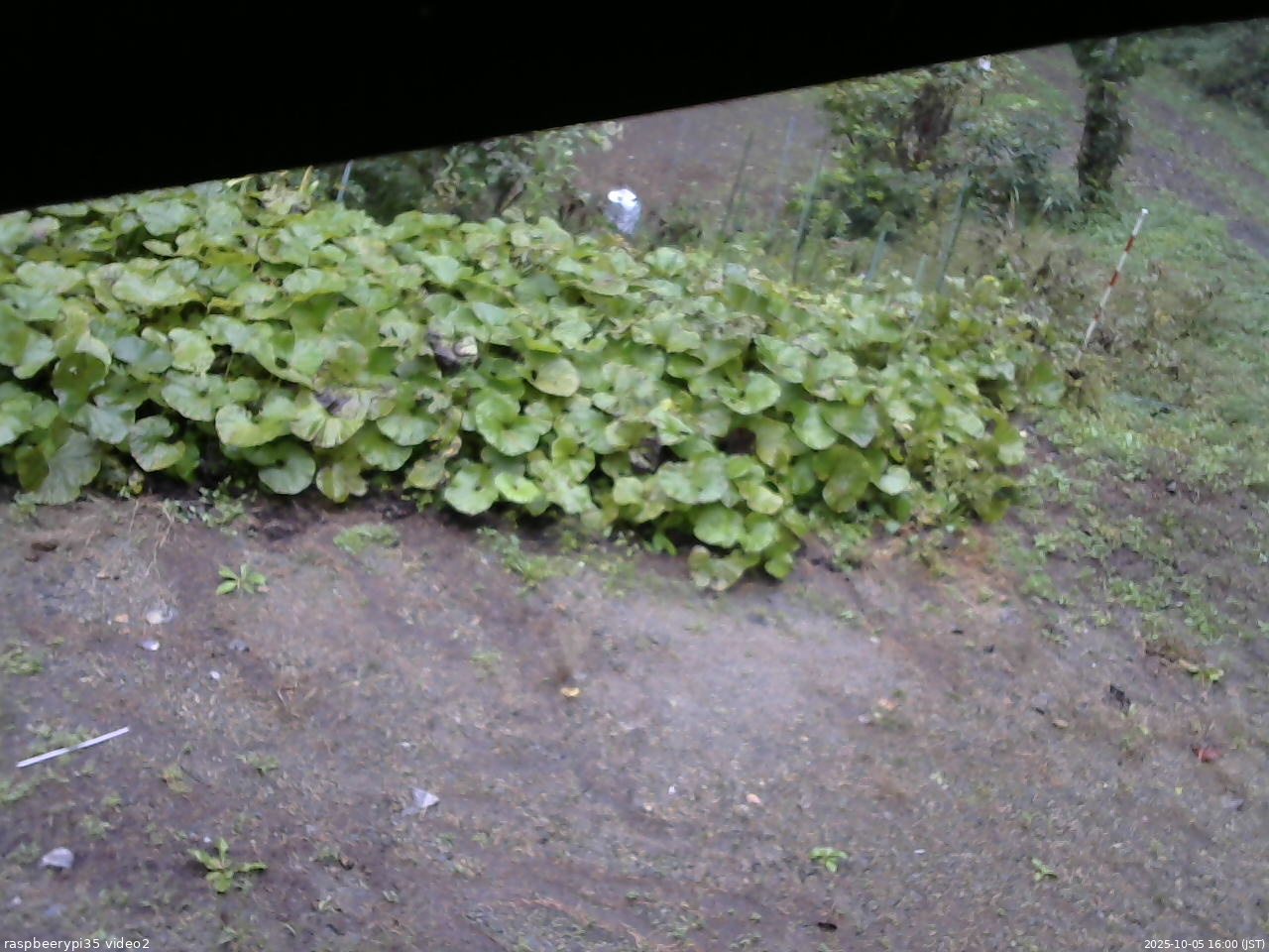 長野県菅平高原 ゆたか山荘 駐車場 2025/10/05 16:00