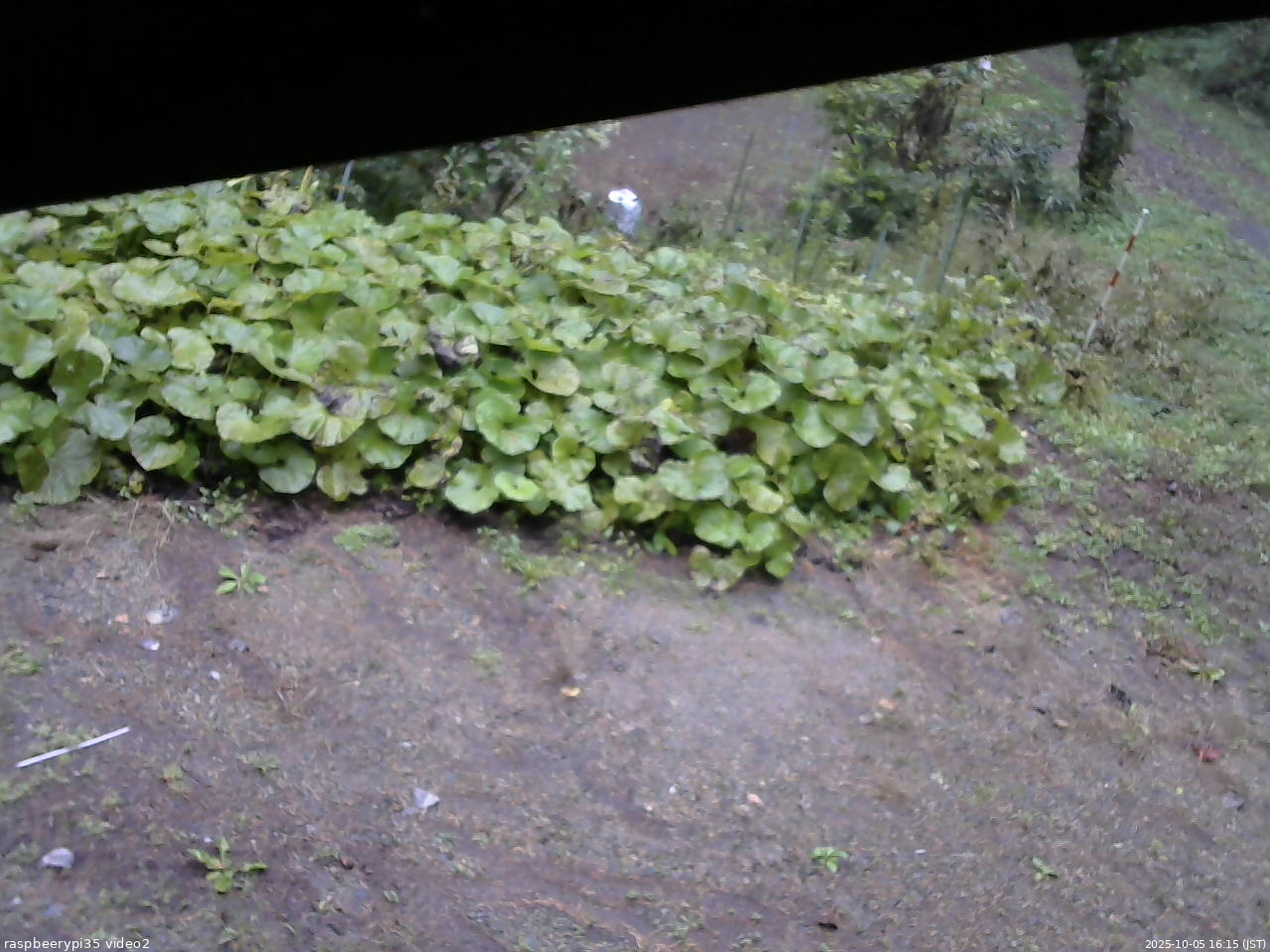 長野県菅平高原 ゆたか山荘 駐車場 2025/10/05 16:15