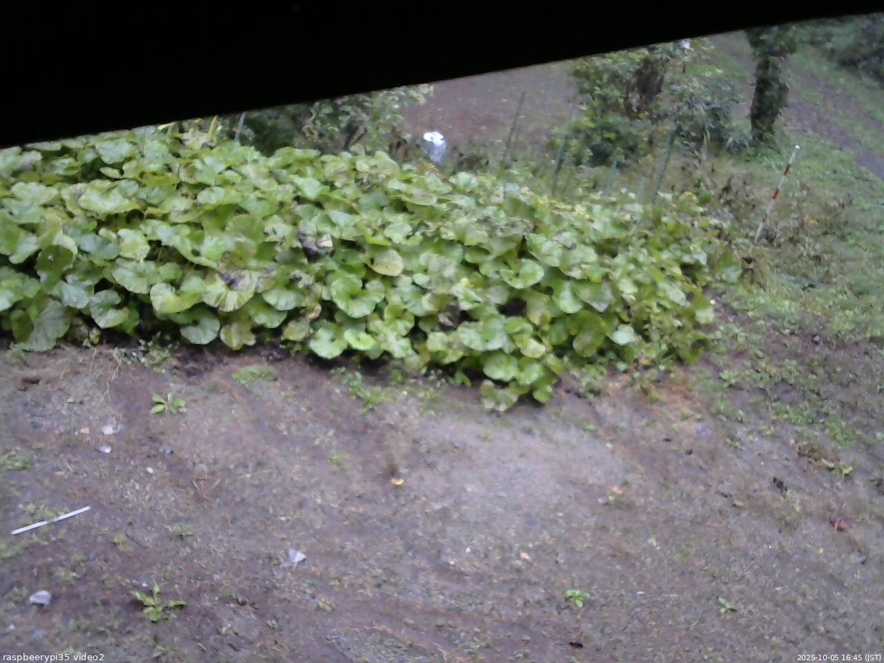 長野県菅平高原 ゆたか山荘 駐車場 2025/10/05 16:45