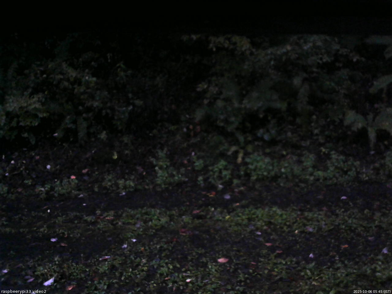 長野県菅平高原 ゆたか山荘 南側 2025/10/06 05:45