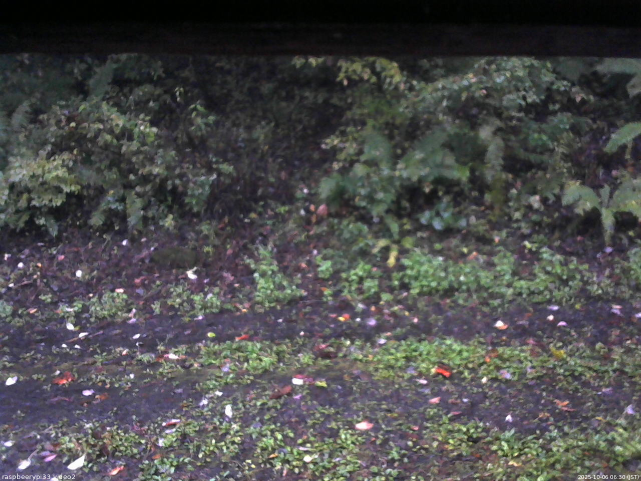 長野県菅平高原 ゆたか山荘 南側 2025/10/06 06:30