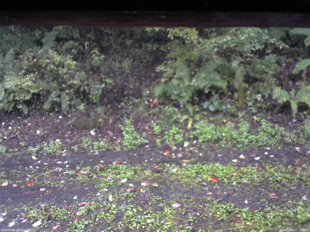 長野県菅平高原 ゆたか山荘 南側 2025/10/06 07:15