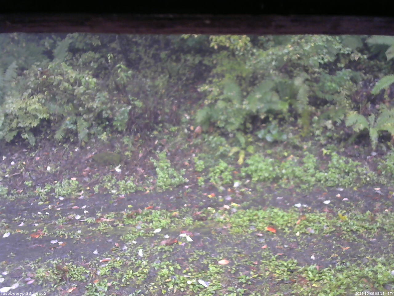 長野県菅平高原 ゆたか山荘 南側 2025/10/06 08:15