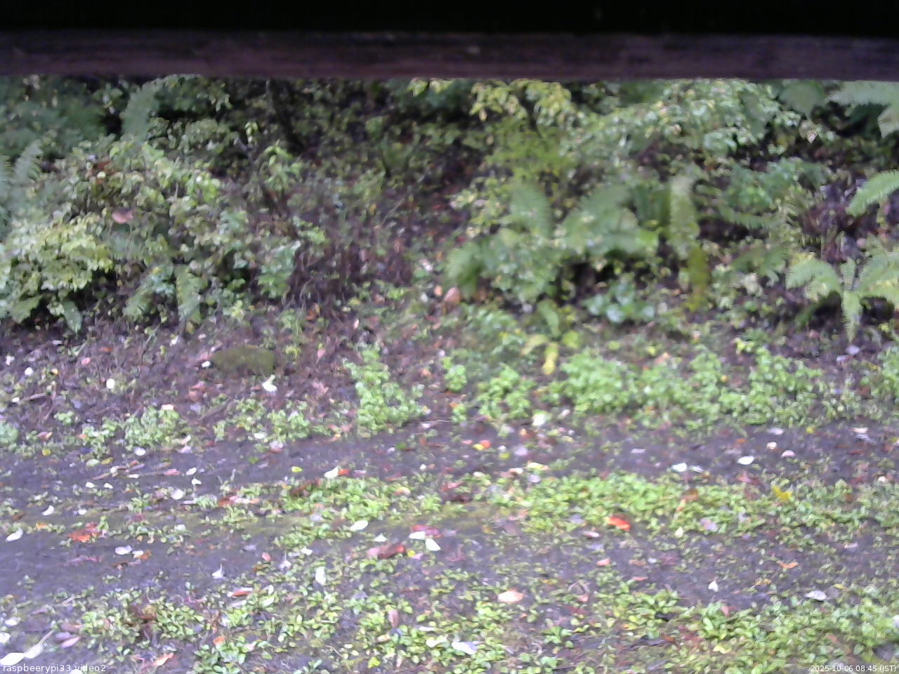 長野県菅平高原 ゆたか山荘 南側 2025/10/06 08:45