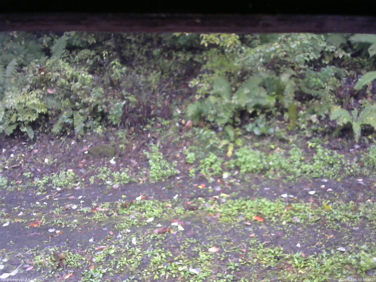 長野県菅平高原 ゆたか山荘 南側 2025/10/06 09:00