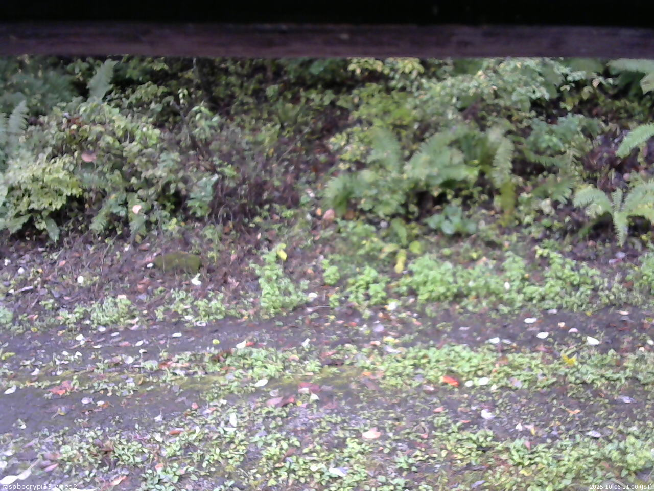 長野県菅平高原 ゆたか山荘 南側 2025/10/06 11:00