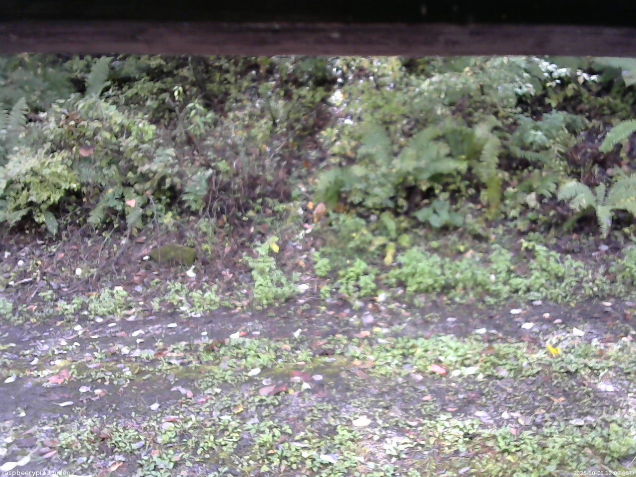 長野県菅平高原 ゆたか山荘 南側 2025/10/06 12:00