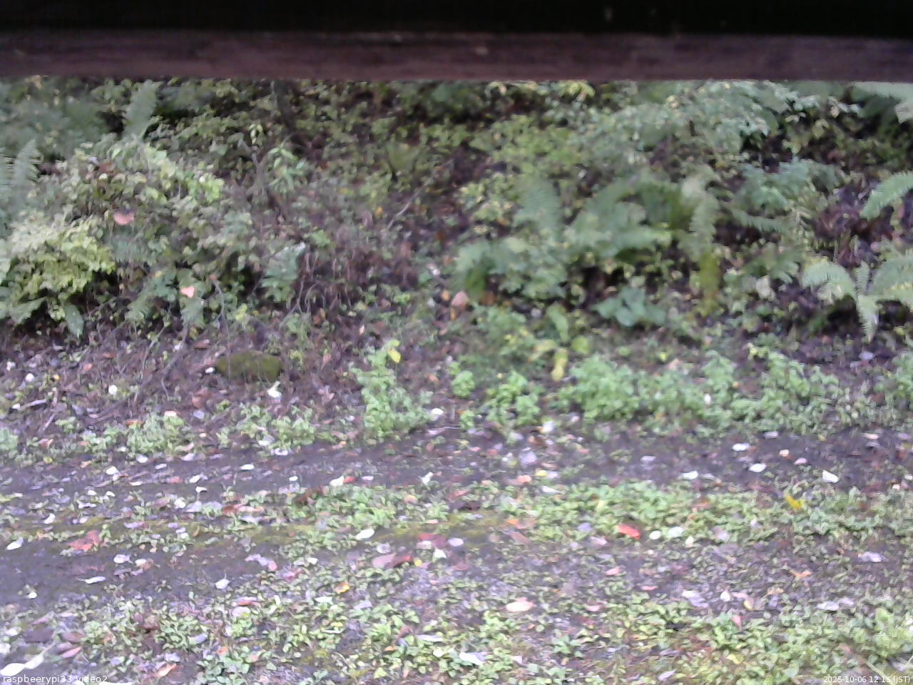 長野県菅平高原 ゆたか山荘 南側 2025/10/06 12:15