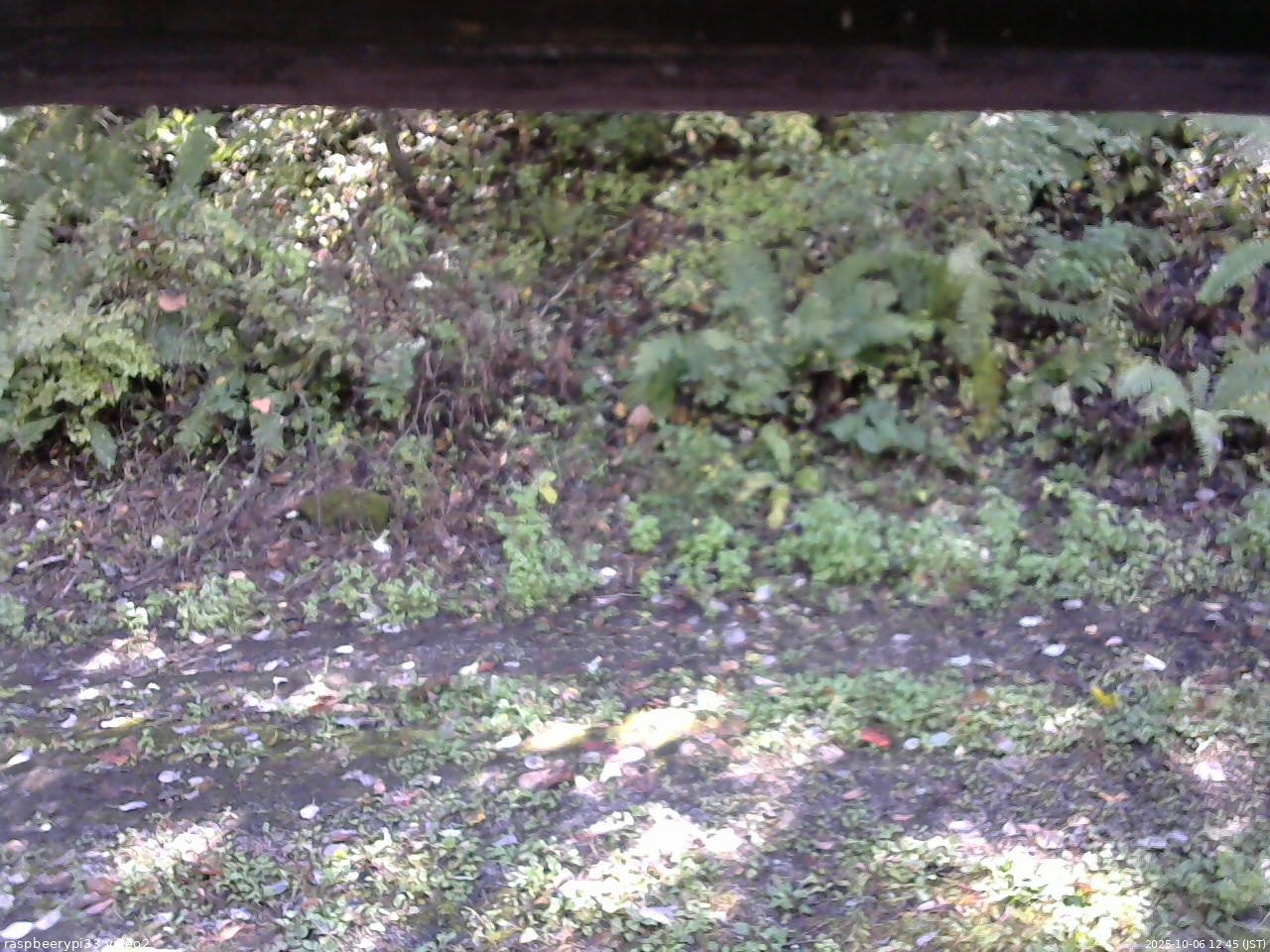 長野県菅平高原 ゆたか山荘 南側 2025/10/06 12:45