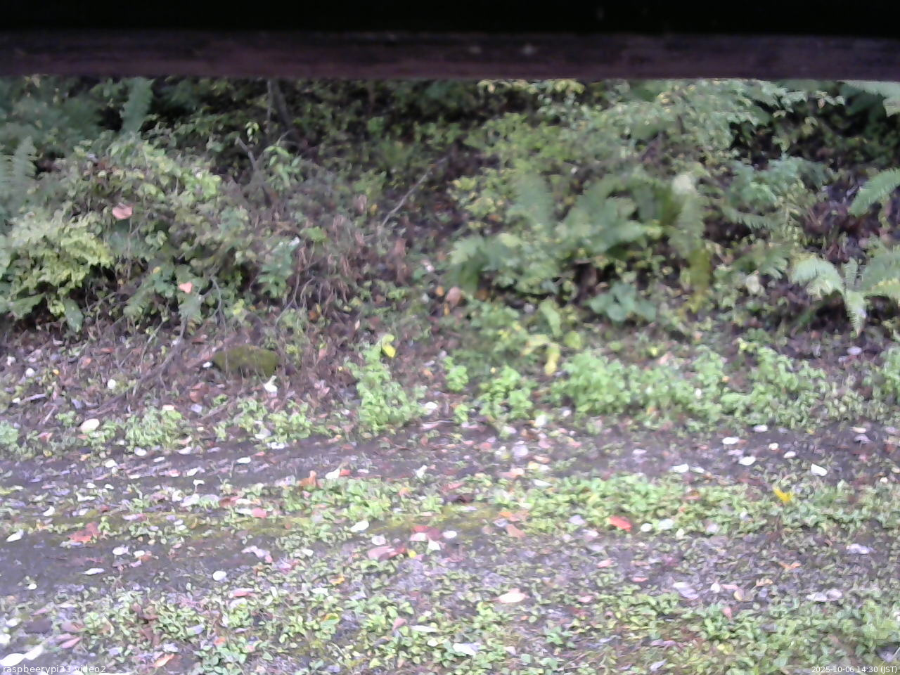 長野県菅平高原 ゆたか山荘 南側 2025/10/06 14:30