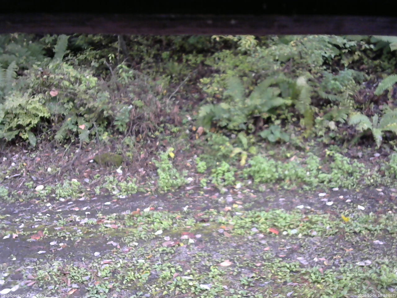 長野県菅平高原 ゆたか山荘 南側 2025/10/06 15:30