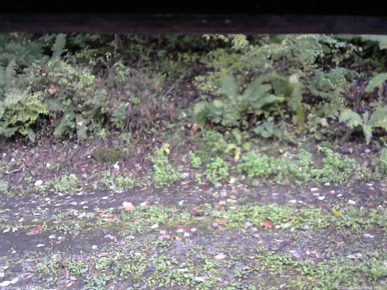 長野県菅平高原 ゆたか山荘 南側 2025/10/06 16:30