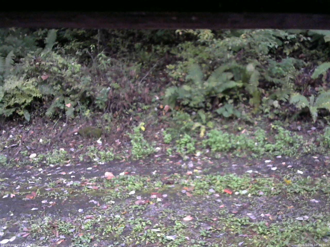 長野県菅平高原 ゆたか山荘 南側 2025/10/06 17:15