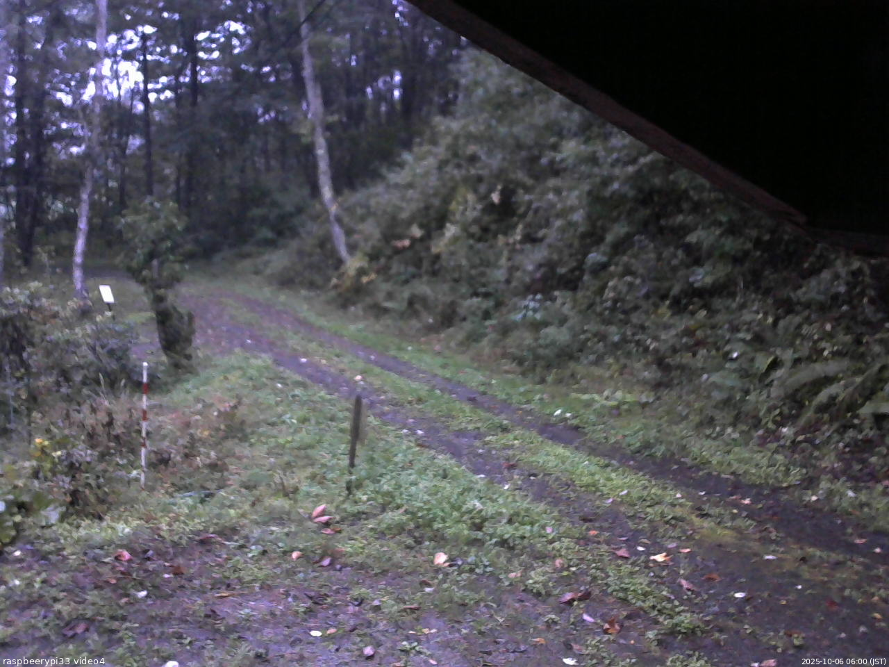 長野県菅平高原 ゆたか山荘 東側(坂下) 2025/10/06 06:00