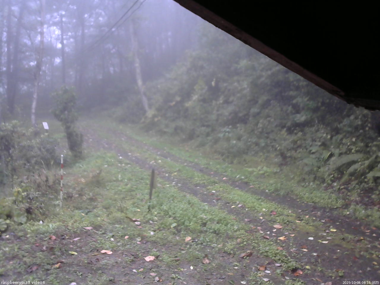 長野県菅平高原 ゆたか山荘 東側(坂下) 2025/10/06 08:15