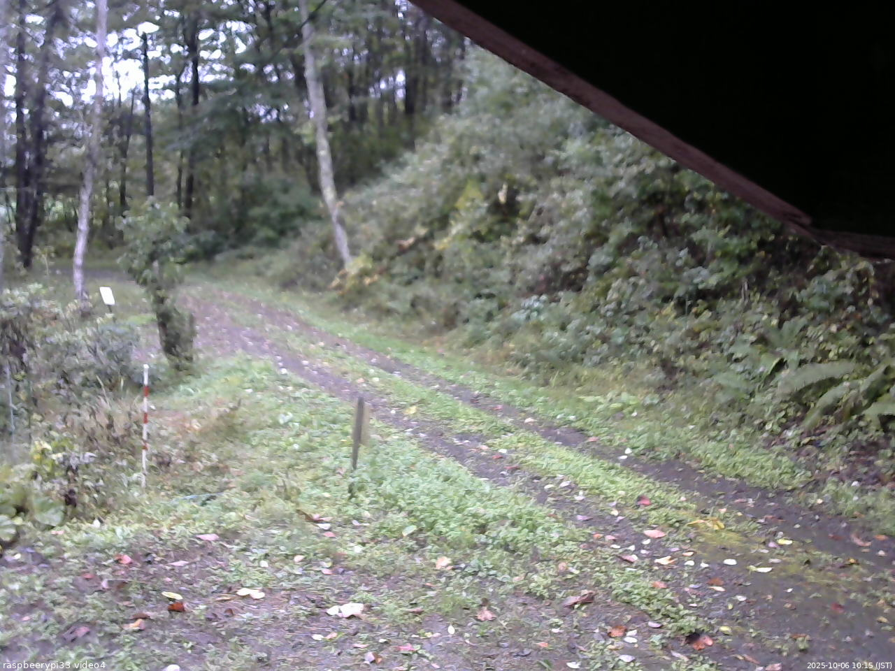 長野県菅平高原 ゆたか山荘 東側(坂下) 2025/10/06 10:15