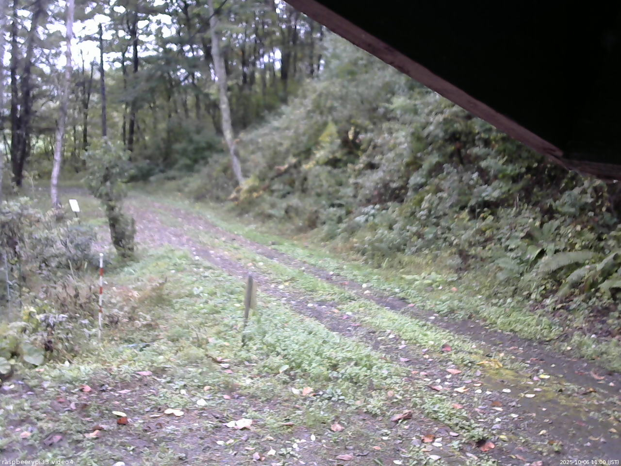 長野県菅平高原 ゆたか山荘 東側(坂下) 2025/10/06 11:00