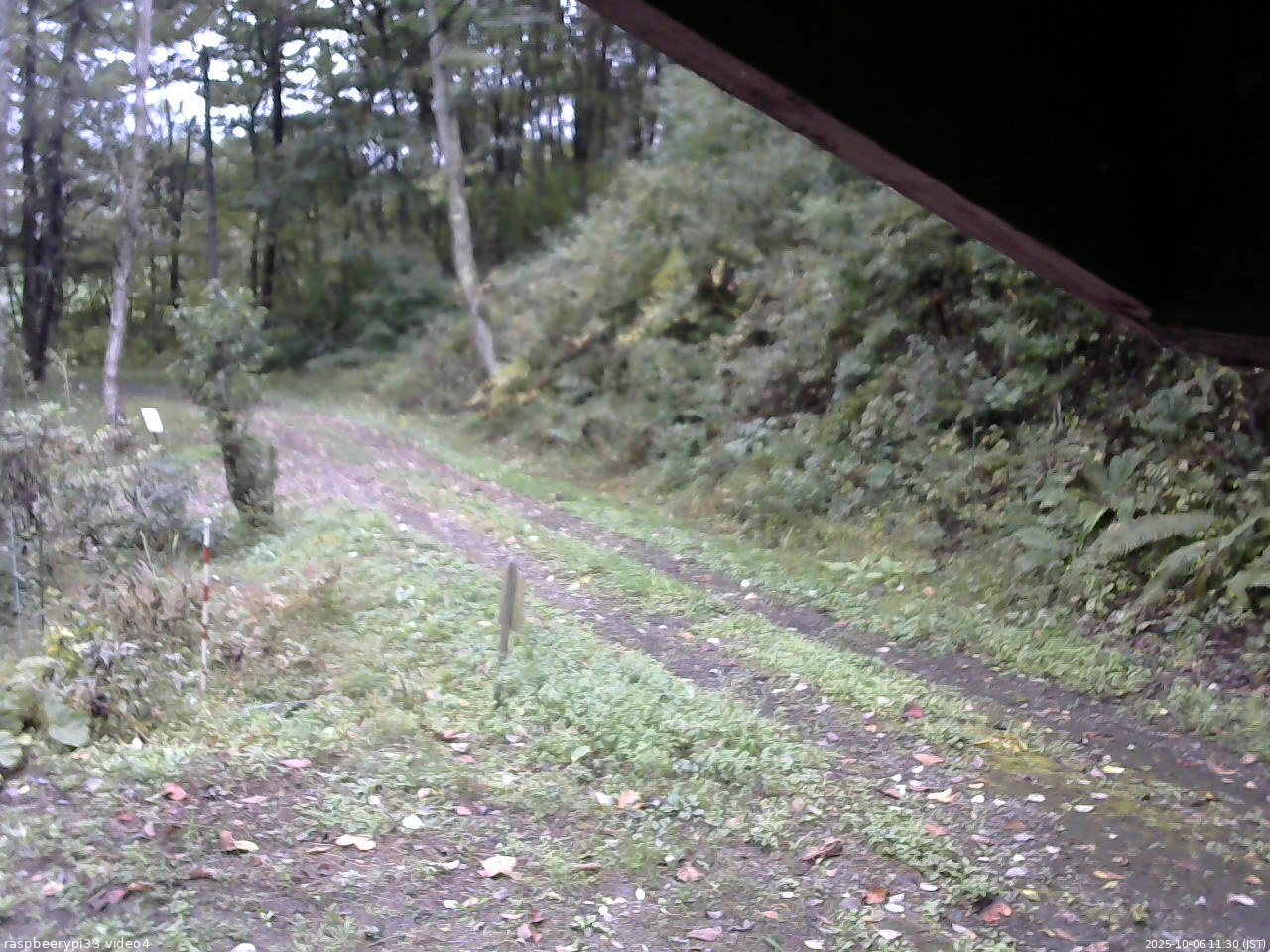 長野県菅平高原 ゆたか山荘 東側(坂下) 2025/10/06 11:30