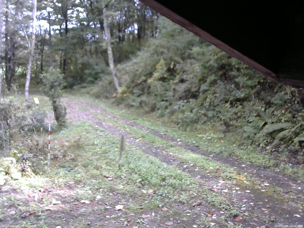 長野県菅平高原 ゆたか山荘 東側(坂下) 2025/10/06 12:00