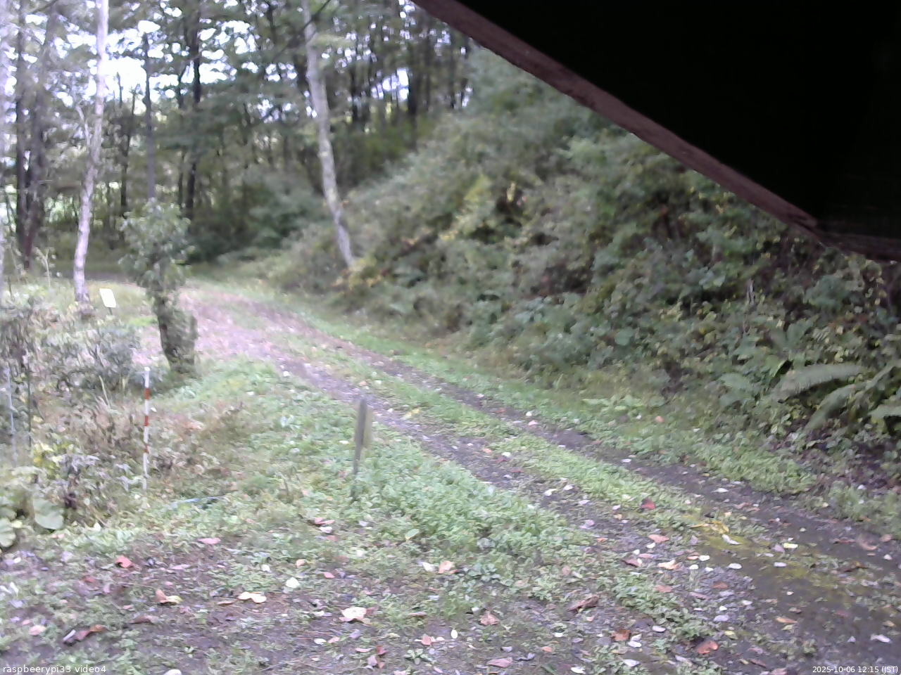 長野県菅平高原 ゆたか山荘 東側(坂下) 2025/10/06 12:15