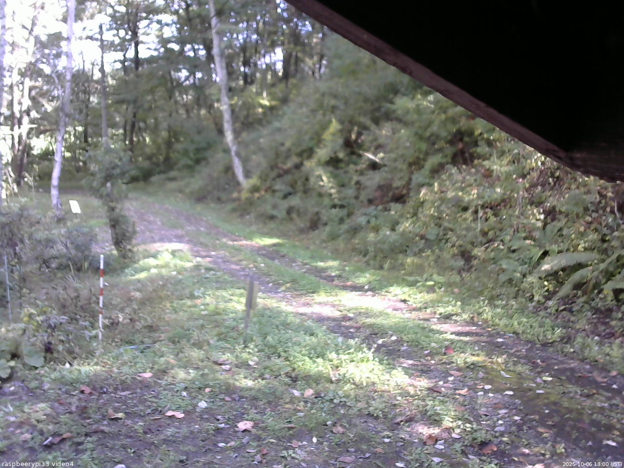 長野県菅平高原 ゆたか山荘 東側(坂下) 2025/10/06 13:00