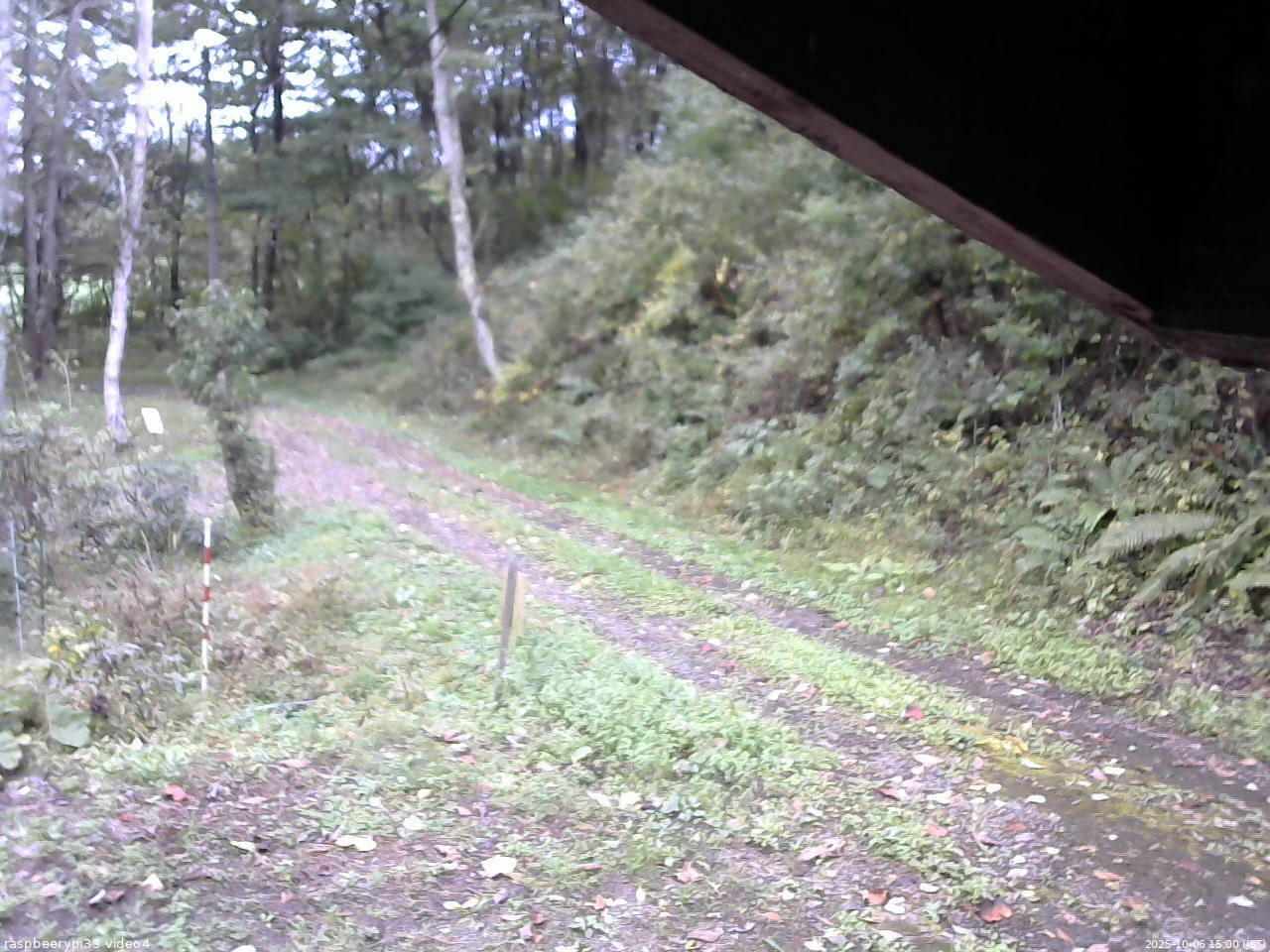 長野県菅平高原 ゆたか山荘 東側(坂下) 2025/10/06 15:00