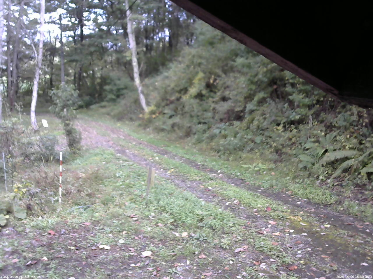 長野県菅平高原 ゆたか山荘 東側(坂下) 2025/10/06 15:30