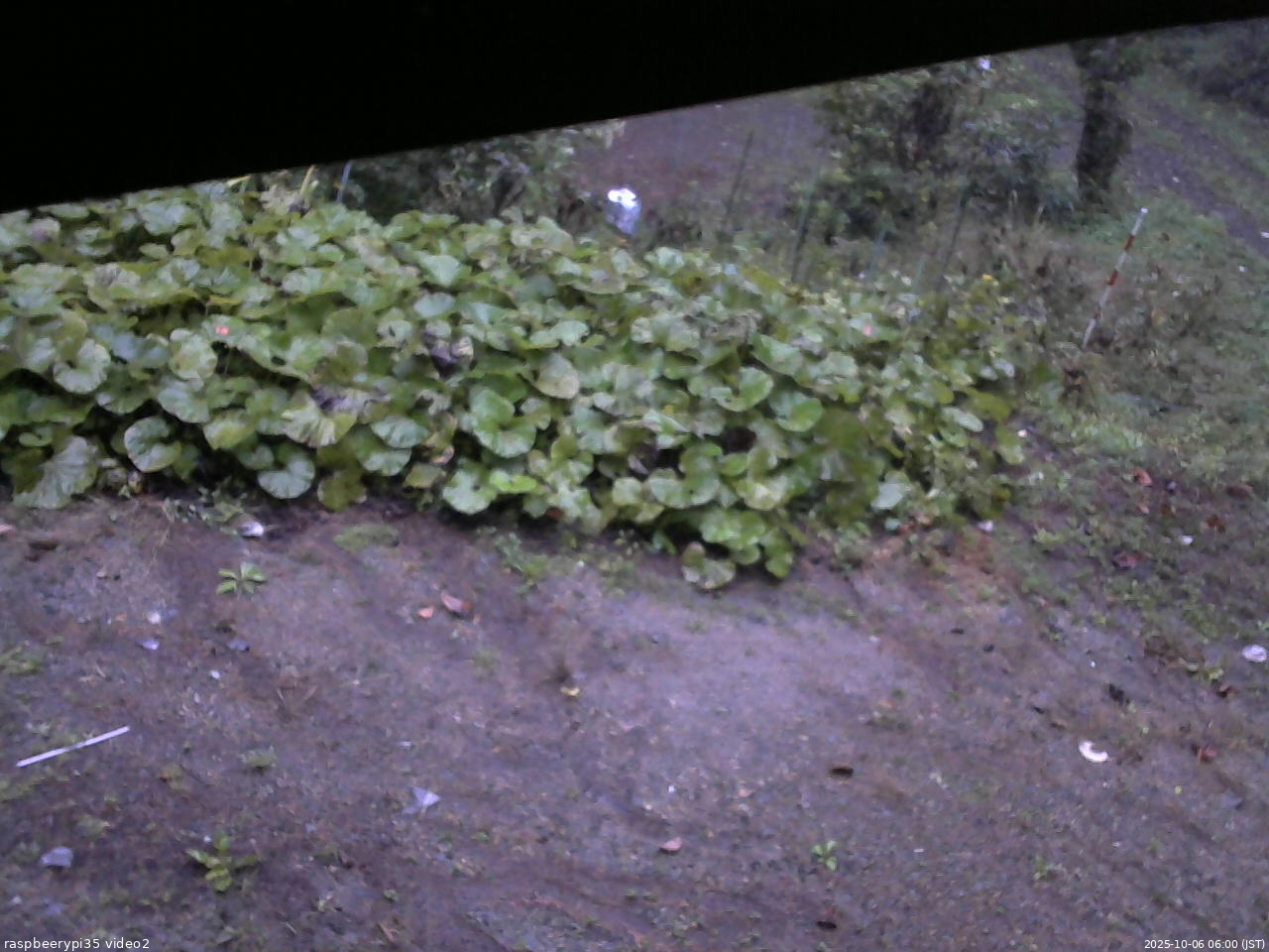 長野県菅平高原 ゆたか山荘 駐車場 2025/10/06 06:00