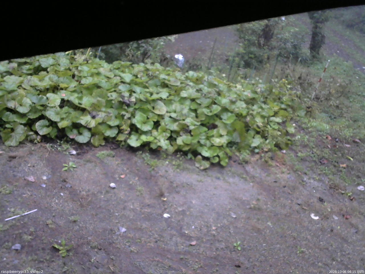 長野県菅平高原 ゆたか山荘 駐車場 2025/10/06 06:15