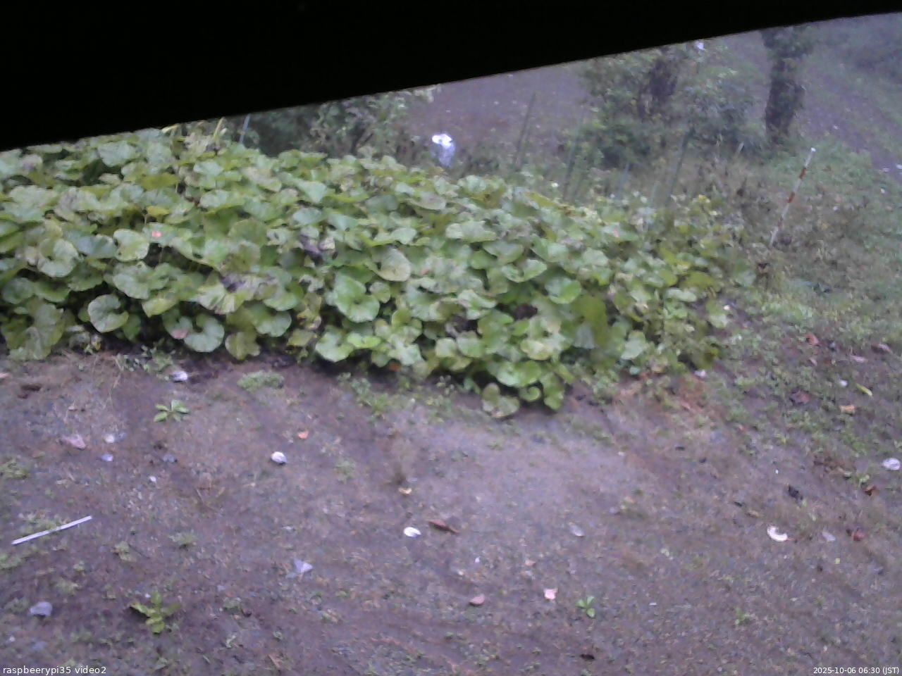 長野県菅平高原 ゆたか山荘 駐車場 2025/10/06 06:30