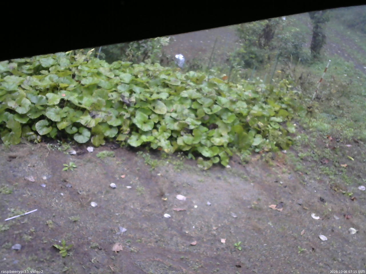 長野県菅平高原 ゆたか山荘 駐車場 2025/10/06 07:15