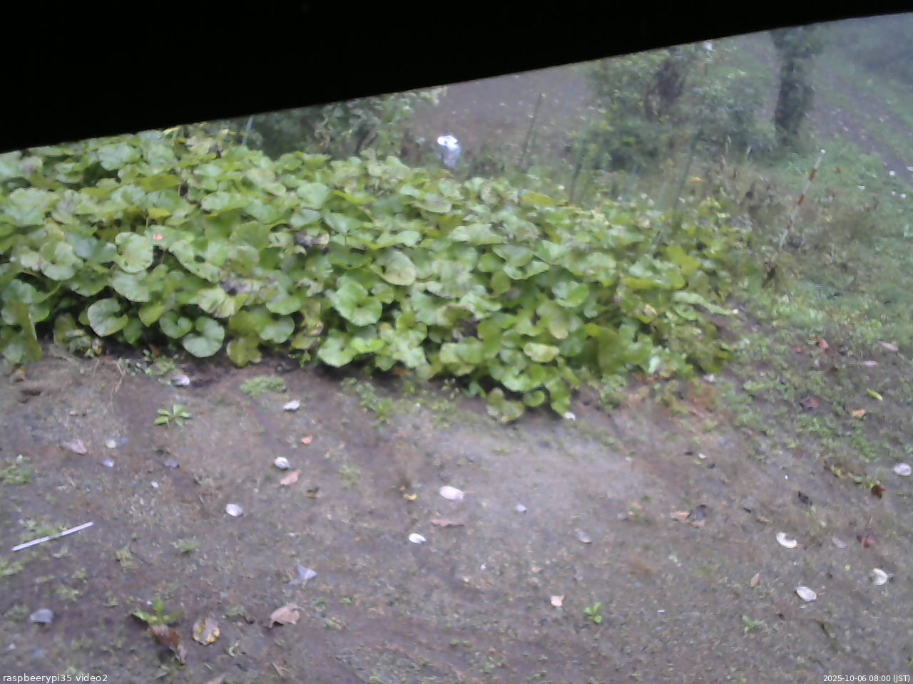 長野県菅平高原 ゆたか山荘 駐車場 2025/10/06 08:00