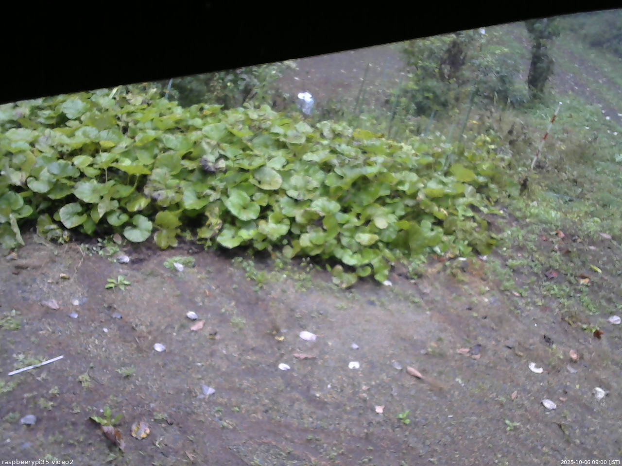 長野県菅平高原 ゆたか山荘 駐車場 2025/10/06 09:00