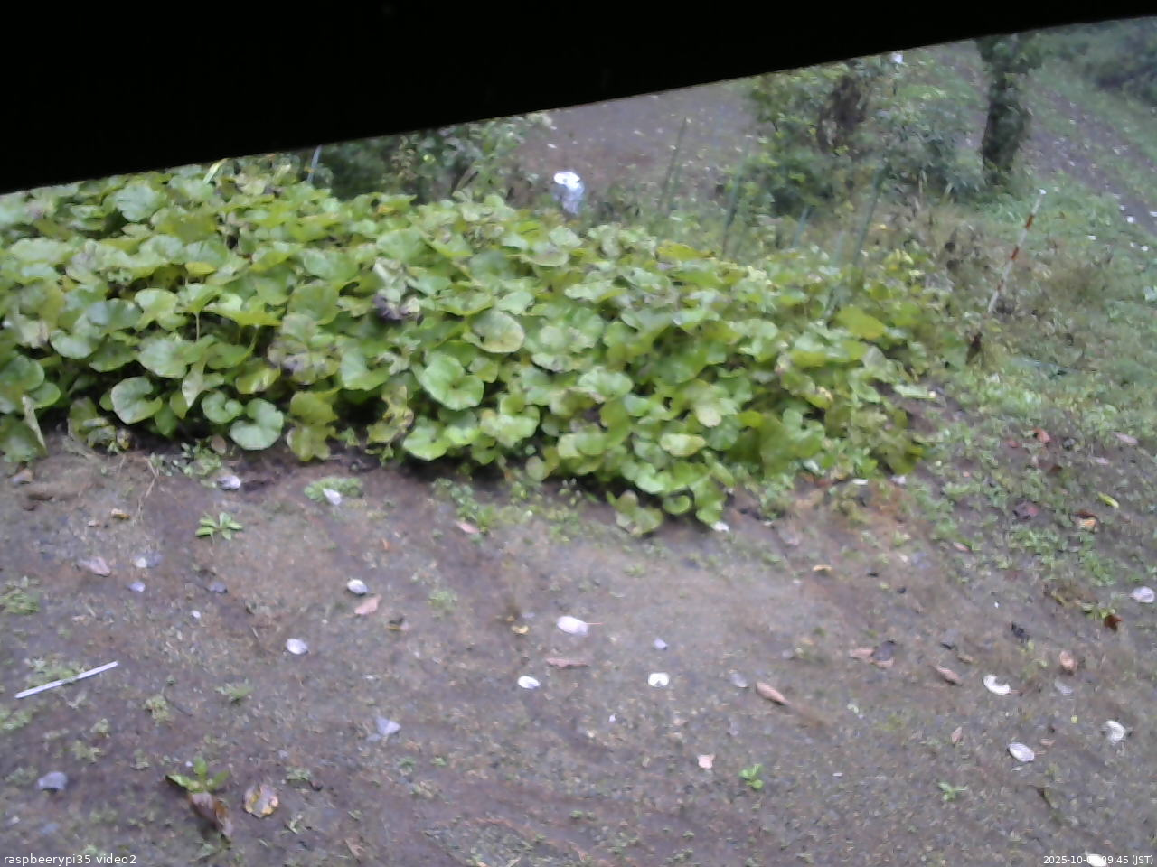 長野県菅平高原 ゆたか山荘 駐車場 2025/10/06 09:45
