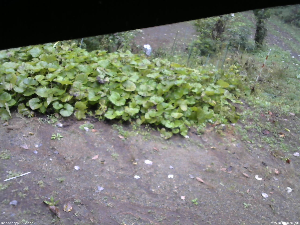長野県菅平高原 ゆたか山荘 駐車場 2025/10/06 10:00