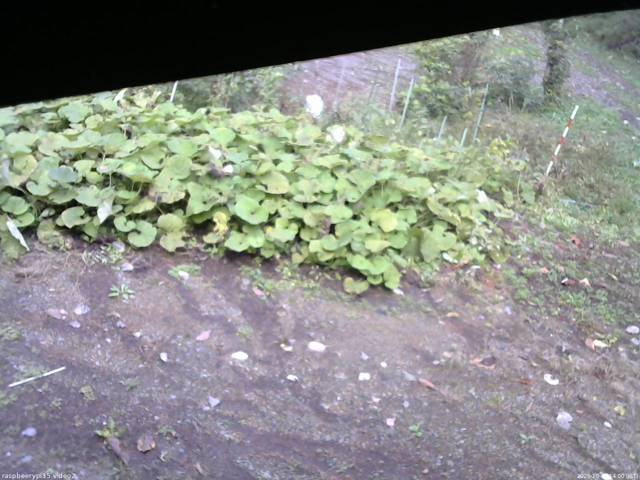 長野県菅平高原 ゆたか山荘 駐車場 2025/10/06 14:00