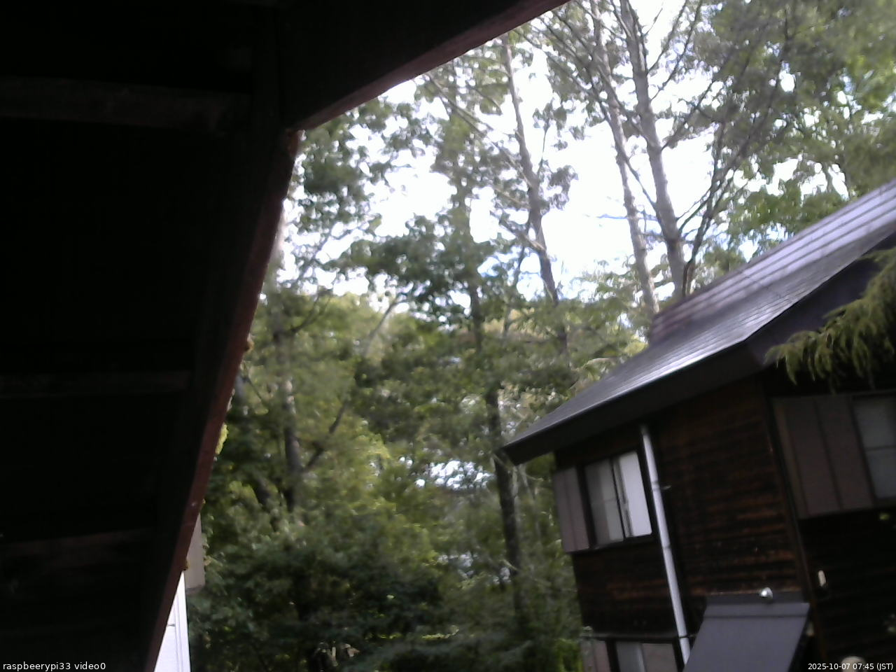 長野県菅平高原 ゆたか山荘 北側 2025/10/07 07:45