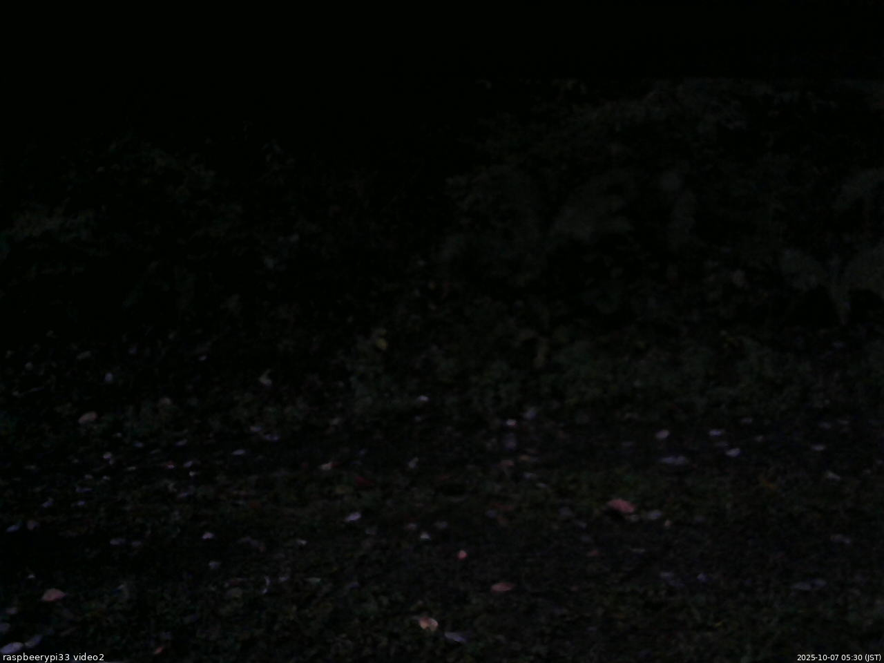 長野県菅平高原 ゆたか山荘 南側 2025/10/07 05:30