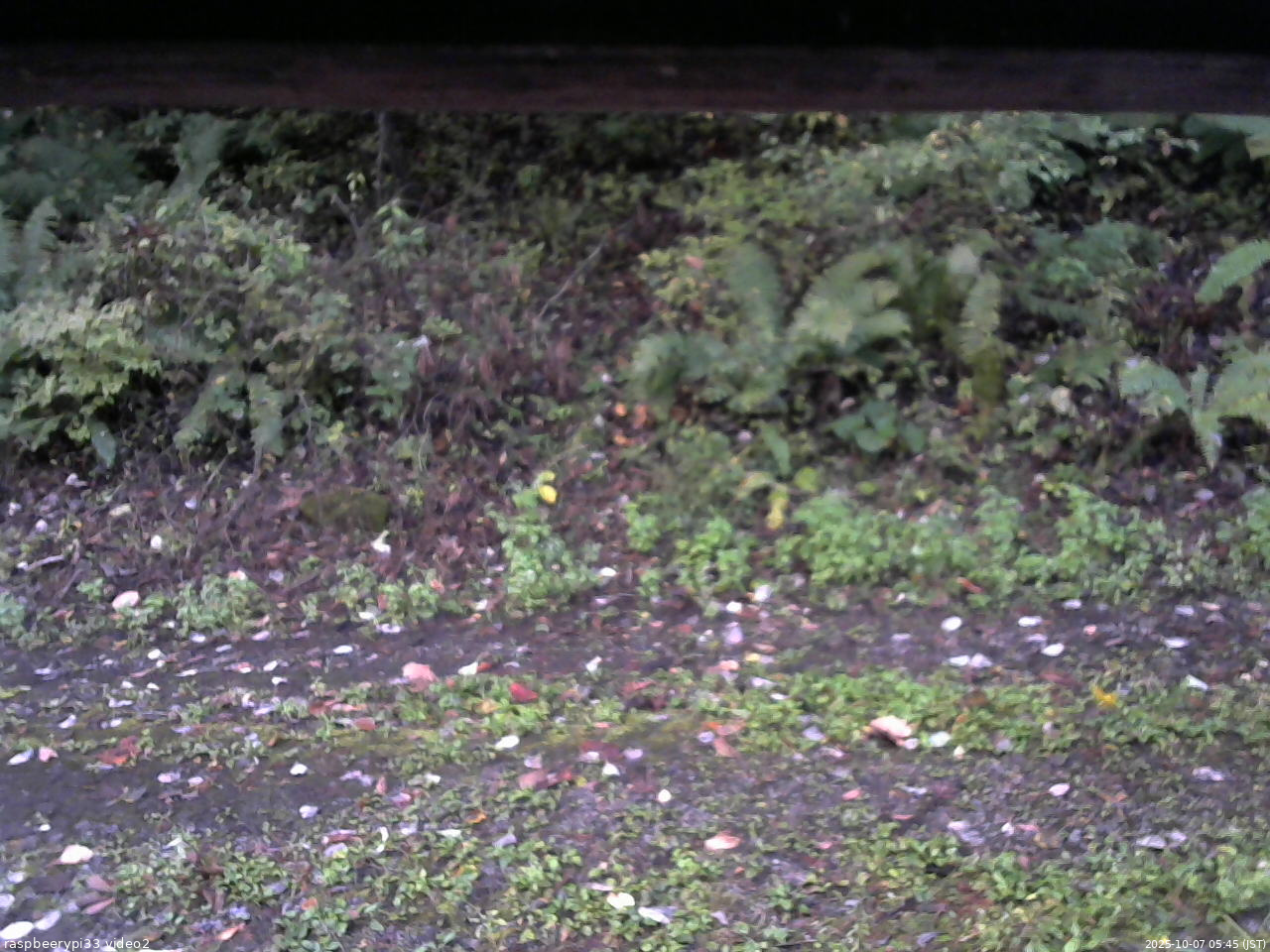 長野県菅平高原 ゆたか山荘 南側 2025/10/07 05:45