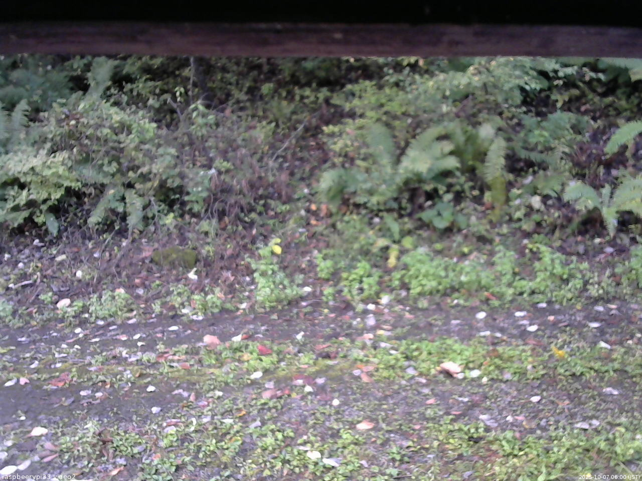 長野県菅平高原 ゆたか山荘 南側 2025/10/07 06:00