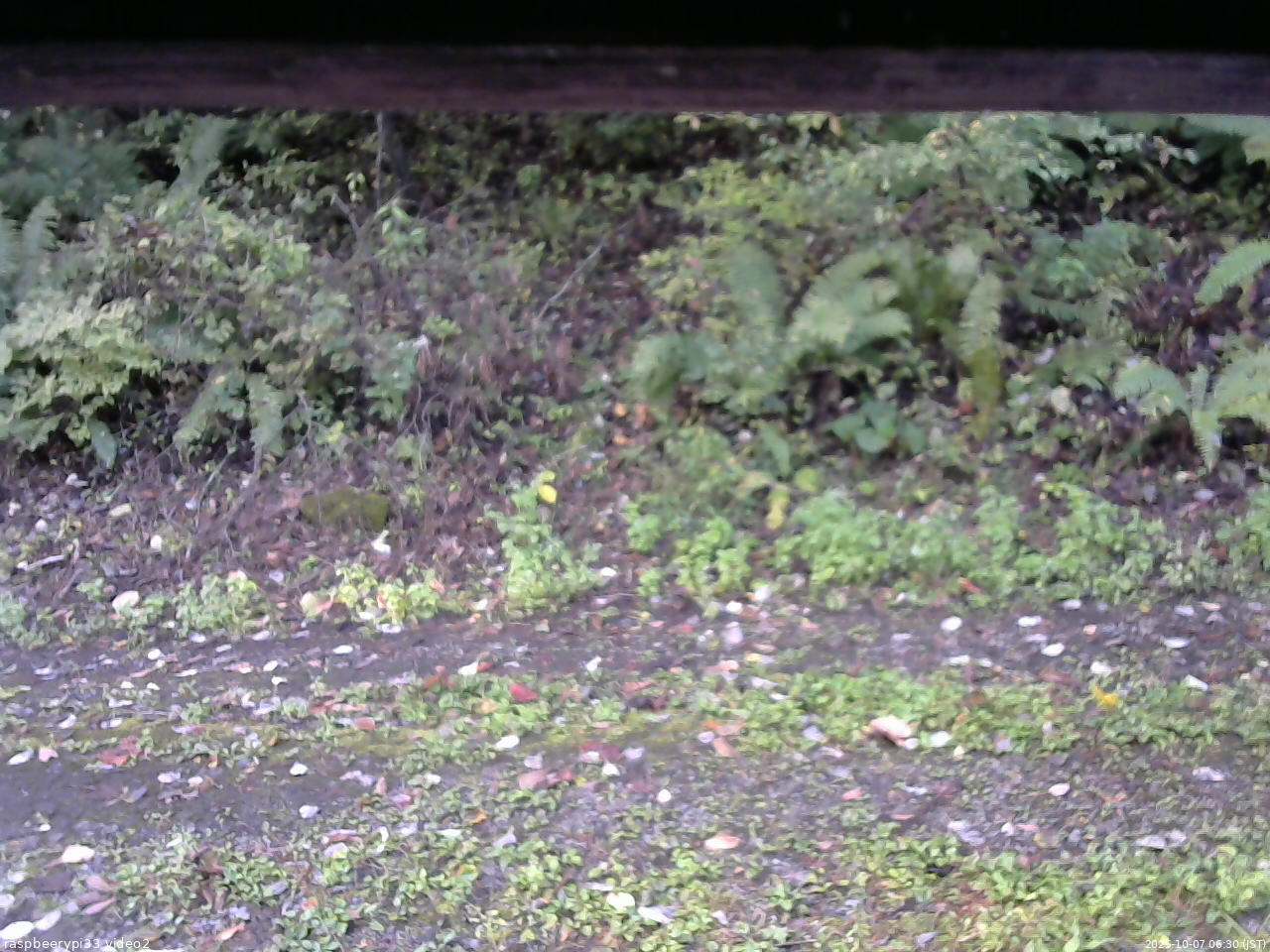長野県菅平高原 ゆたか山荘 南側 2025/10/07 06:30