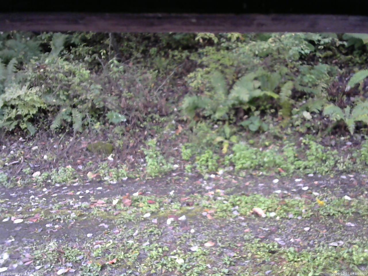 長野県菅平高原 ゆたか山荘 南側 2025/10/07 07:00