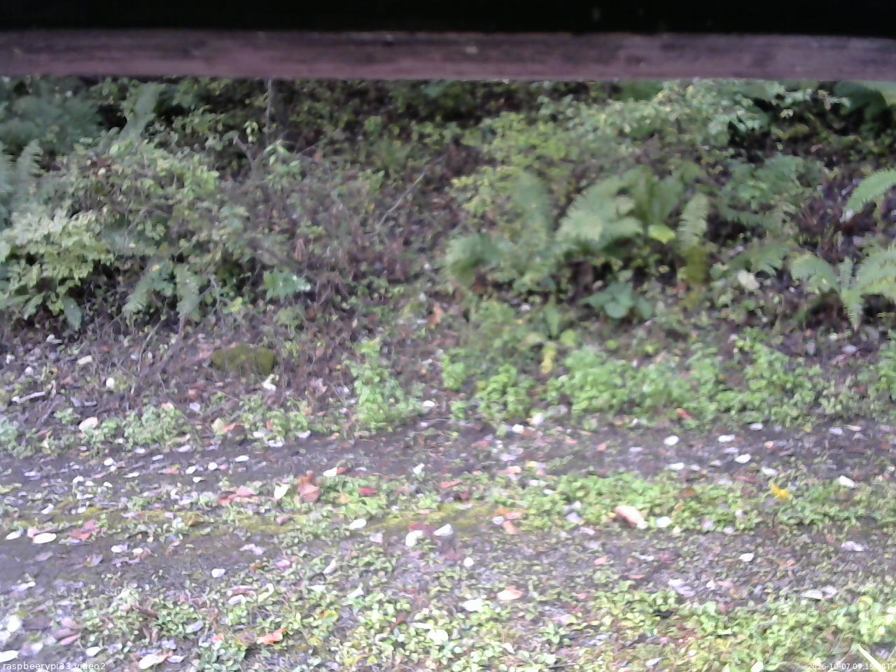 長野県菅平高原 ゆたか山荘 南側 2025/10/07 07:15