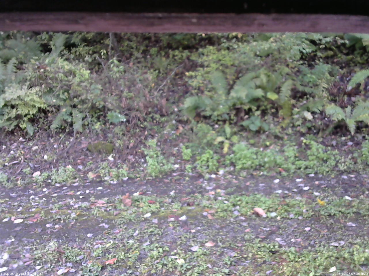 長野県菅平高原 ゆたか山荘 南側 2025/10/07 07:30