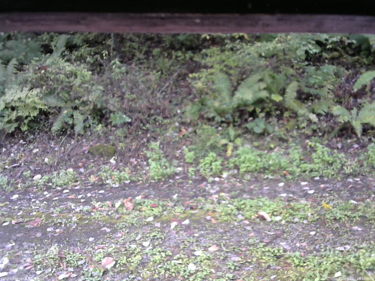 長野県菅平高原 ゆたか山荘 南側 2025/10/07 08:15