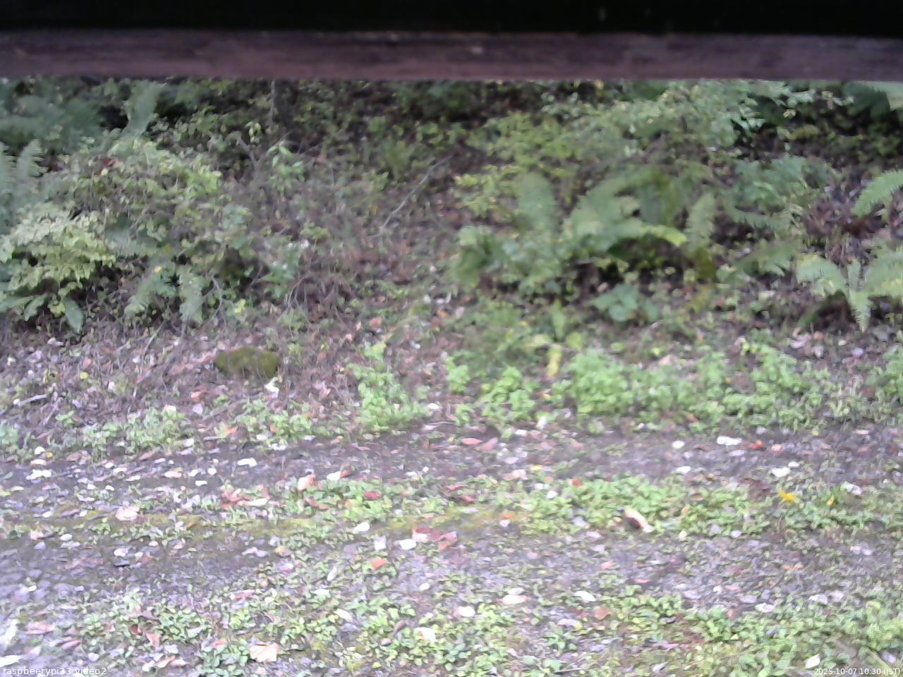 長野県菅平高原 ゆたか山荘 南側 2025/10/07 10:30