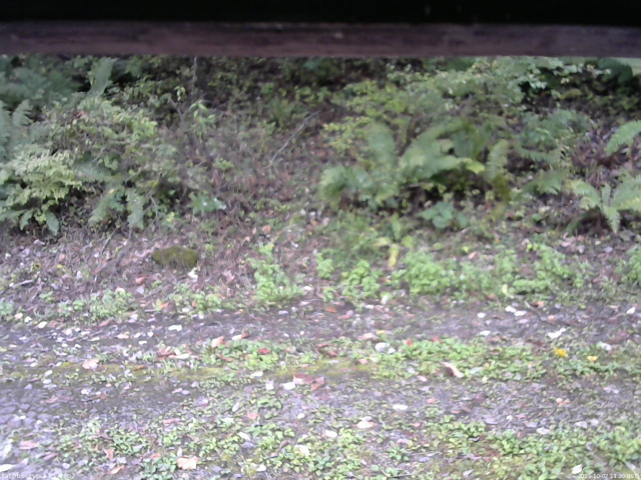 長野県菅平高原 ゆたか山荘 南側 2025/10/07 11:30