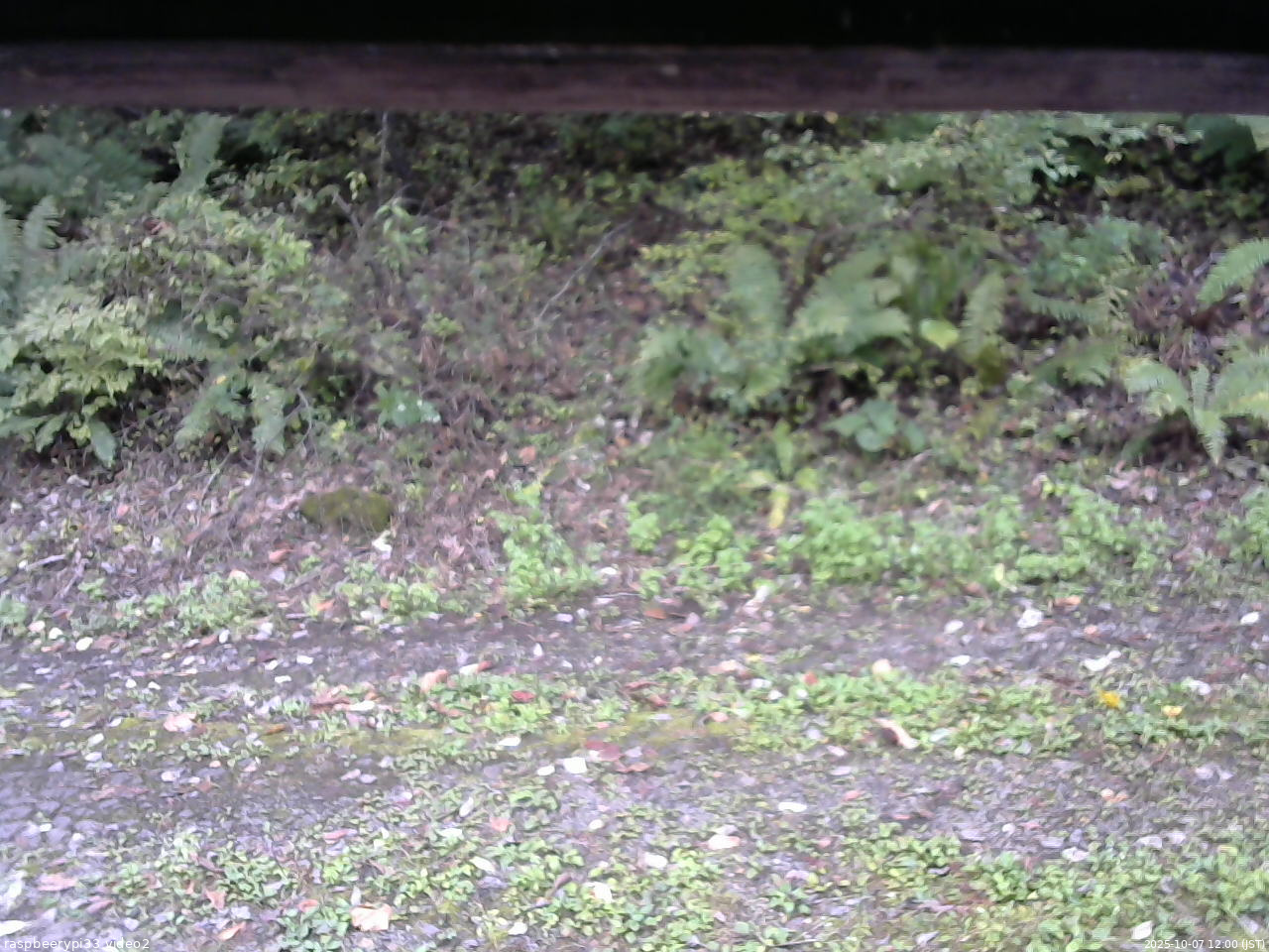 長野県菅平高原 ゆたか山荘 南側 2025/10/07 12:00
