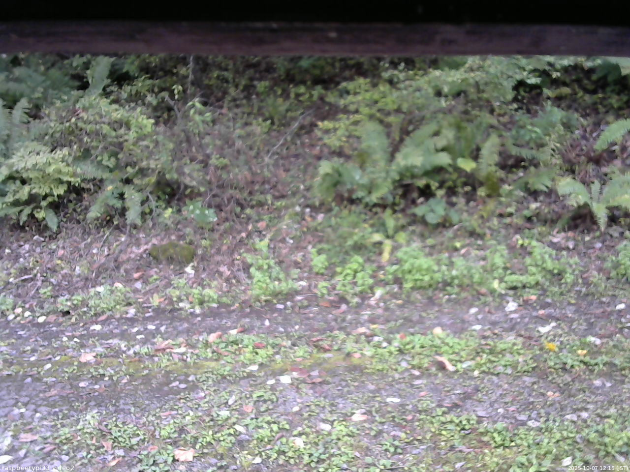 長野県菅平高原 ゆたか山荘 南側 2025/10/07 12:15