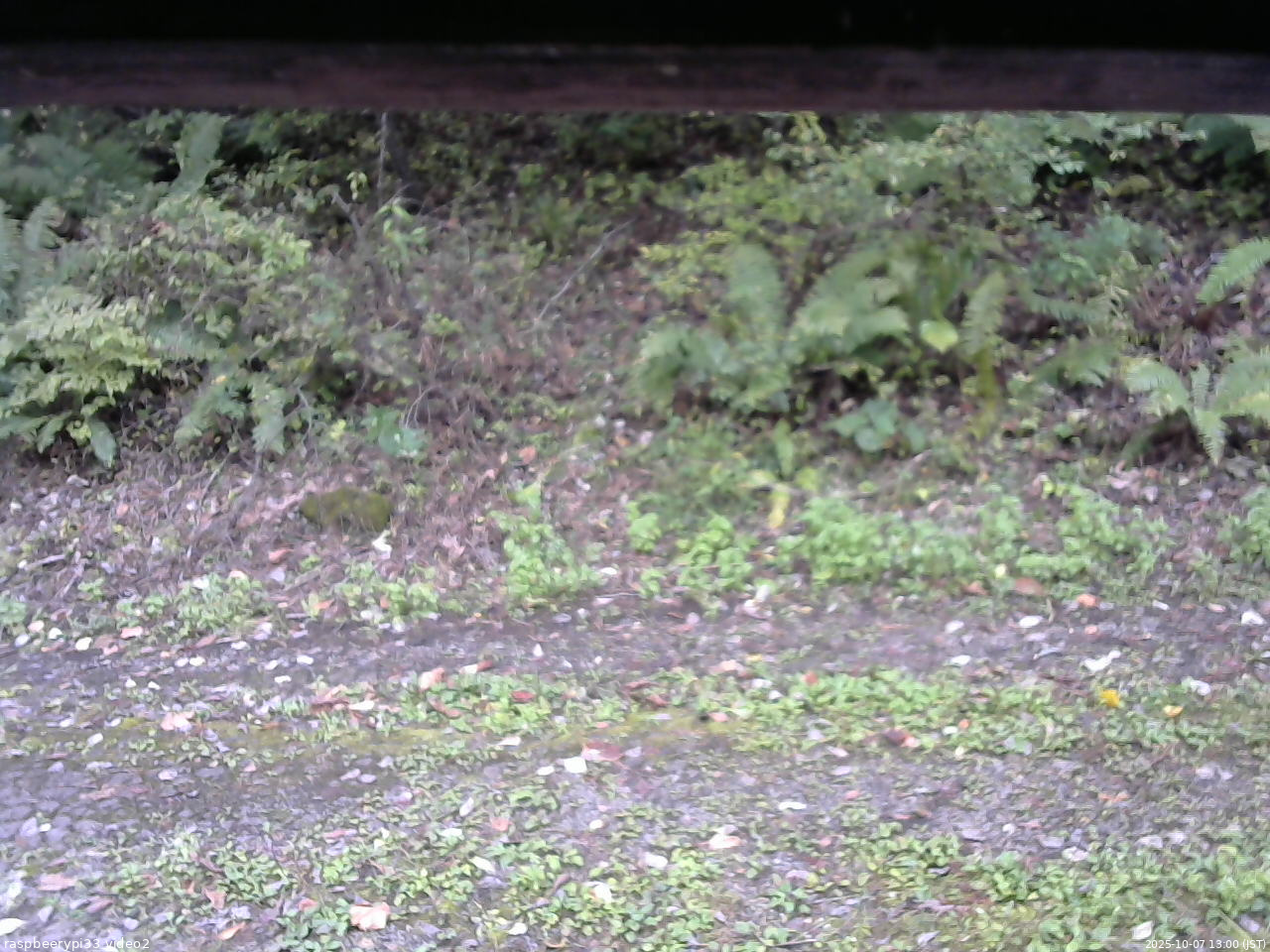 長野県菅平高原 ゆたか山荘 南側 2025/10/07 13:00